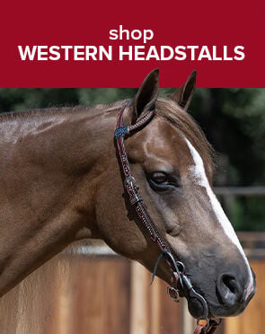 Western Headstalls